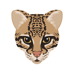 Ocelot Face