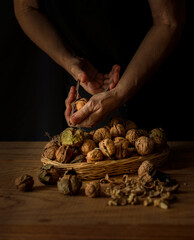 An adult lady whose hands are only visible is crushing nuts with a nutcracker. Many more walnuts are in a wicker basket and, on the table, there are the shells and a few nuts still in the husk. 