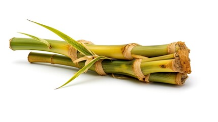 Bamboo shoots Bambusa vulgaris on White background, HD