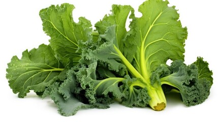 kale brassica on white background, hd