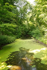 A picture clicked in The Netherlands