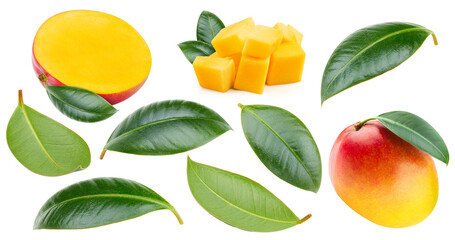 Mango fruit isolated on white background