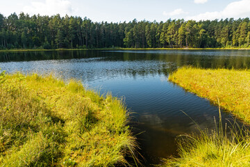 dystrophic lake near Krutyń in Poalnd