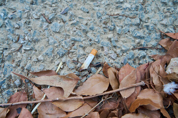 Cigarette on the ground beside leaves