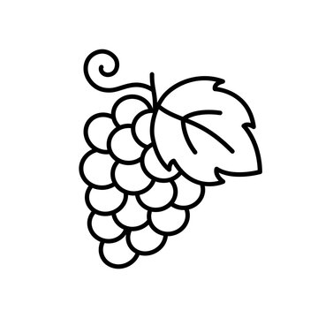 Grape vine line icon