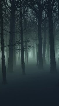 3D animation - Halloween background of a foggy forest at night with parallax style looped camera movement in vertical compoisition format