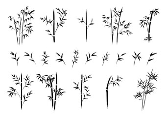 Abstract ink bamboo set, simple minimalist branches and leaves vector illustration, tree brush painted line art collection