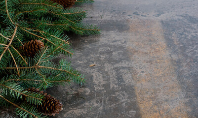 Fondo navideño con piñas y ramas de abeto.