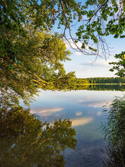 Ausblick mit See und Bäumen in Seedorf am Schaalsee