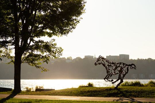 Quebec City, Quebec, Canada, September 17, 2023 - One horse of the public sculpture “Do re mi fa sol la si do,” representing a herd of steel-cut horses by Saskatchewan artist Joe Fafard 