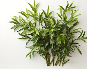 Obraz na płótnie Canvas Indoor plants, generative Ai