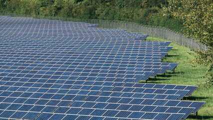 Solarpark mit vielen Solarpanels in einer Photovoltaik-Freiflächenanlage