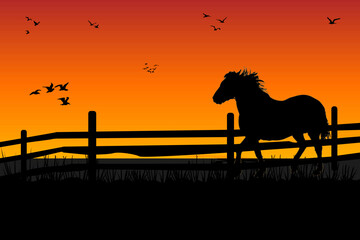 Farm horse grazing at meadow behind wooden fence. Sunset evening scene on ranch. Stallion silhouette on orange sky background. Night pasture. Paddock for equine farm. Stock vector illustration