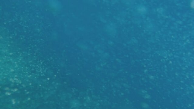 Many air bubbles under seething surface of waves, underwater shot