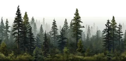 Rolgordijnen Mystical morning. Foggy forest adventure. Pine peaks and misty valleys. Serene wilderness. Emerging from mist. Sunrise in woodland background © Wuttichai