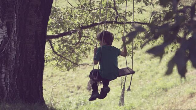 Silhouette of countryside little boy sitting and swaying on wooden swing with ropes hanging from an old big tree branch in the garden