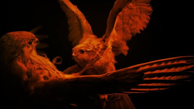 Fighting Birds Of Prey Antique In Firelight