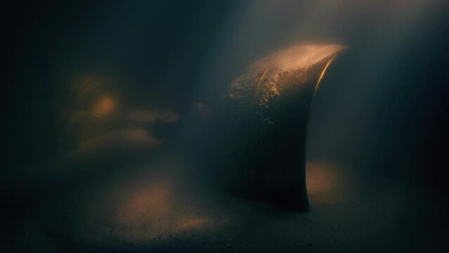 Gold Cup Underwater Lost Treasure
