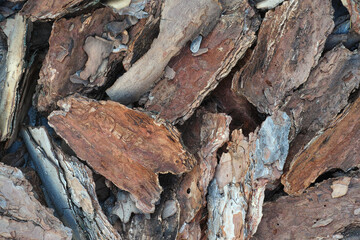A pile of pine bark