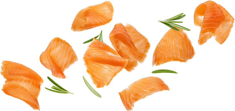 Falling salmon slices isolated
