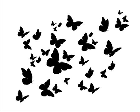 butterfly silhouettes vector