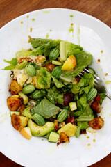 FRESH HEALTHY ORGANIC SALAD ON LARGE WHITE CERAMIC DISH 