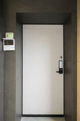 Entrance door inside an apartment in a modern interior