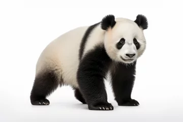 Fensteraufkleber Giant panda isolated on a white background © Veniamin Kraskov