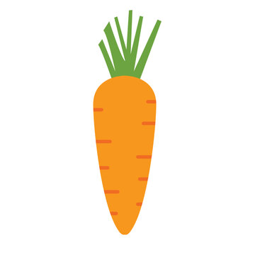 orange carrot with green leaves clip art preview