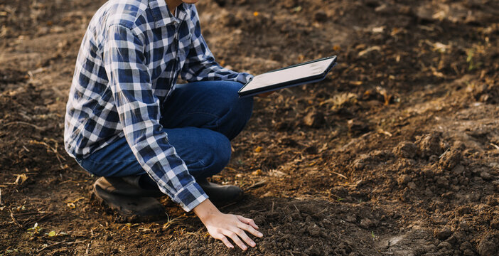 Male hands touching soil on the field. Expert hand of farmer checking soil health before growth a seed of vegetable or plant seedling. Business or ecology concept.