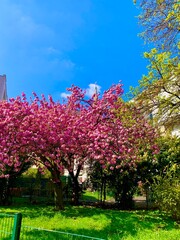 ARGENTEUIL