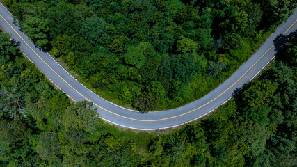 Aerial top view of road in forest.Winding road through the forest.Ecosystem ecology healthy environment road trip. Forest ecosystem and health concept and background, texture of green forest.