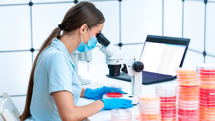 Fototapeta premium Teaching and educational demonstrations: Petri dishes are used in educ