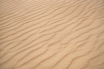 Sand dunes in the Senek desert in the Kazakh desert, desert sand texture for background
