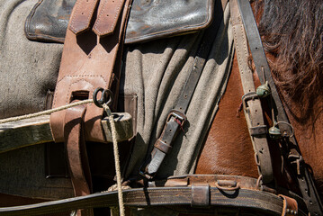 detail of a historic harness of a horse