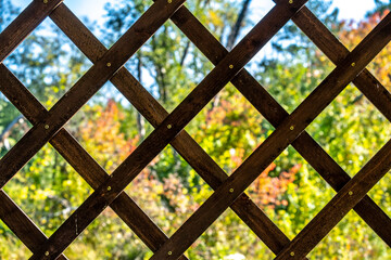 Wooden lattice in the gazebo on the background of the forest.