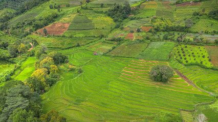 Rice terraces field and Small village in Chiang Mai, Thailand
