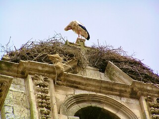IGLESIA SANTA MARIA LA REAL