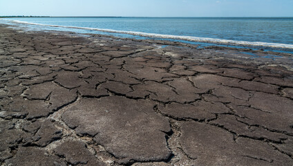 Dried macrophyte algae on the sandy shore of the salty Tuzla estuary