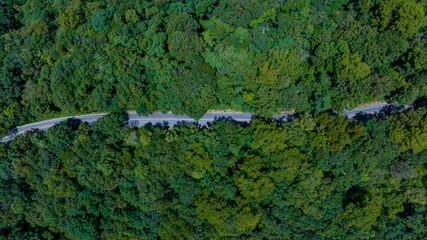 Aerial top view of road in forest.Winding road through the forest.Ecosystem ecology healthy environment road trip. Forest ecosystem and health concept and background, texture of green forest.