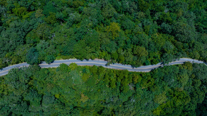 Aerial top view of road in forest.Winding road through the forest.Ecosystem ecology healthy environment road trip. Forest ecosystem and health concept and background, texture of green forest.
