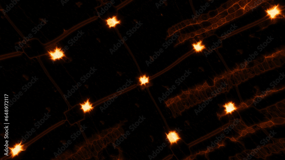 Poster luminous grid with dots and lines of energy. motion. abstract radiation bands in grid with energy. g