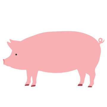 Big fat pig. Vector illustration of big fat pig isolated on white background. Flat style, side view.