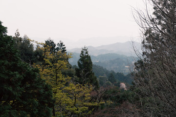Fototapeta na wymiar 山間の風景