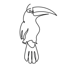 Vector continuous tukan bird illustration © Titikdrawn