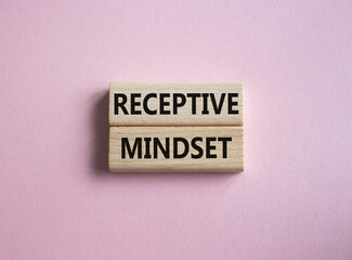 Receptive Mindset symbol. Concept word Receptive Mindset on wooden blocks. Beautiful pink background. Business and Receptive Mindset concept. Copy space
