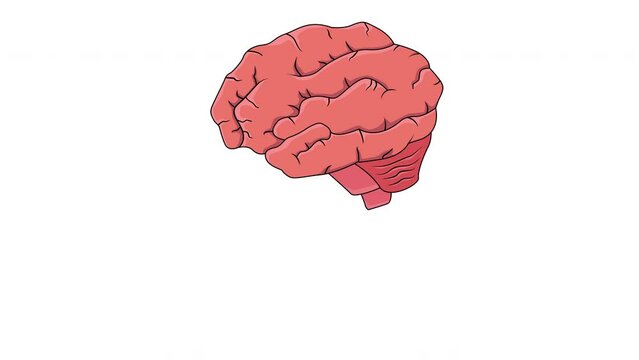 animated video of the human brain moving