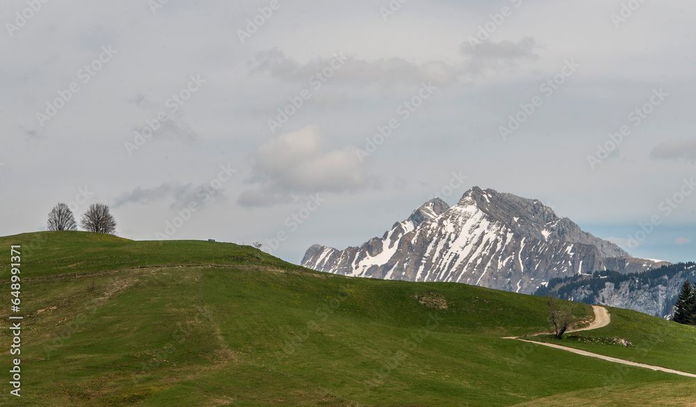 Wall mural Paysage alpestre au plateau des Glières au Petit-Bornand-les-Glières, Haute-Savoie, France