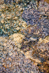 floral texture
