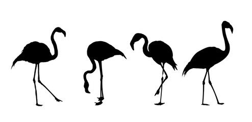 set of flamingo silhouettes